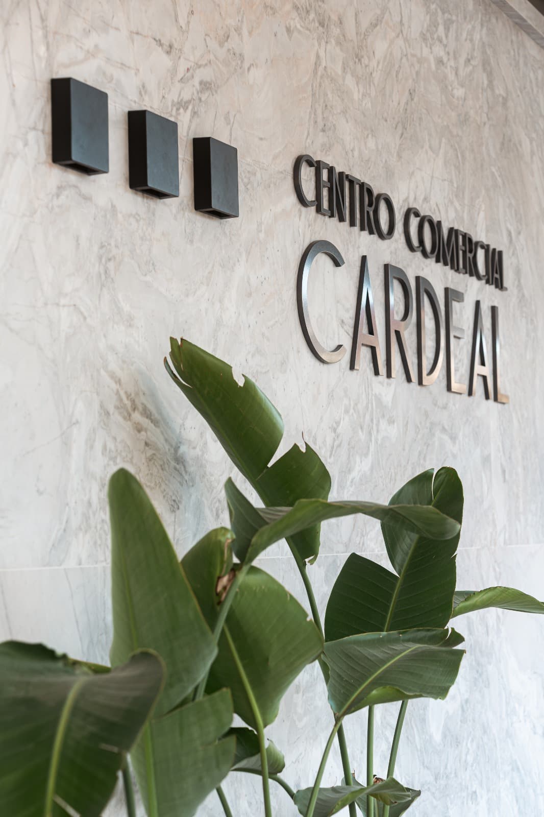 Escritório Martins Ventura Advocacia - Foto 2